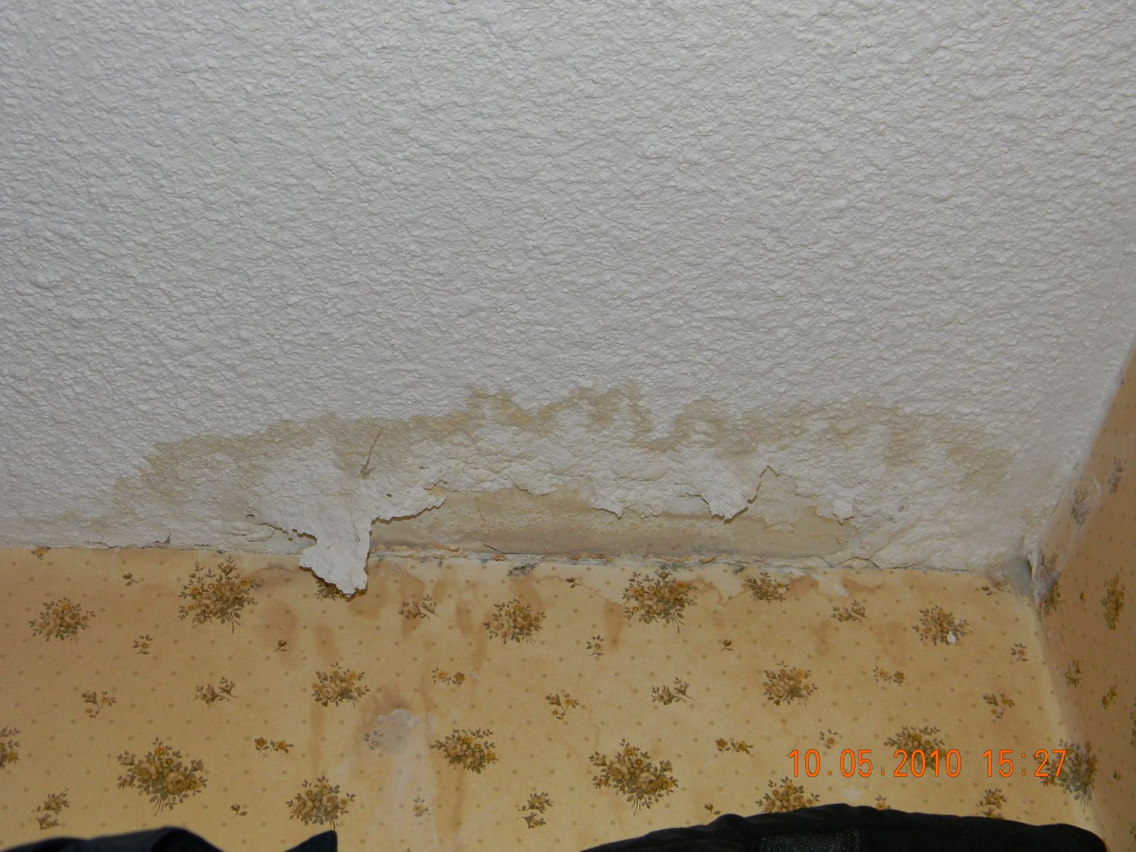 Dangerous Black Mold Symptoms Roofer911